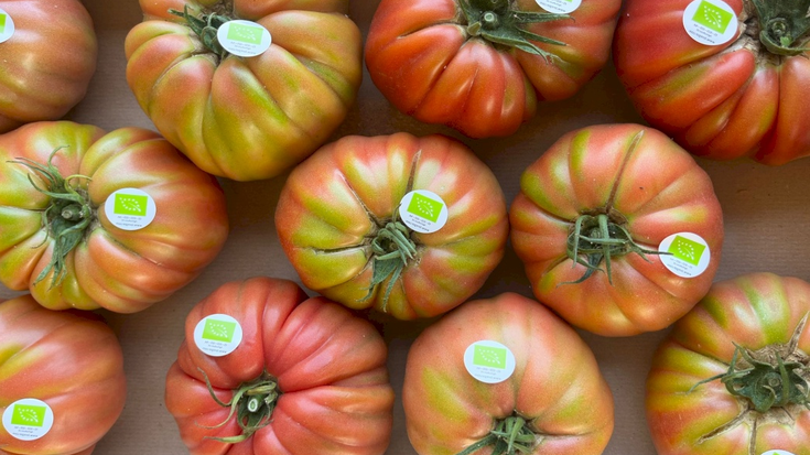 Tomate zaporea izanen du larunbateko EKOmerkatuak