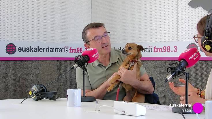 Lorenzo Etxarri: “Urtean 200 animalia jasotzen ditugu, gehienak, txakurrak eta katuak”