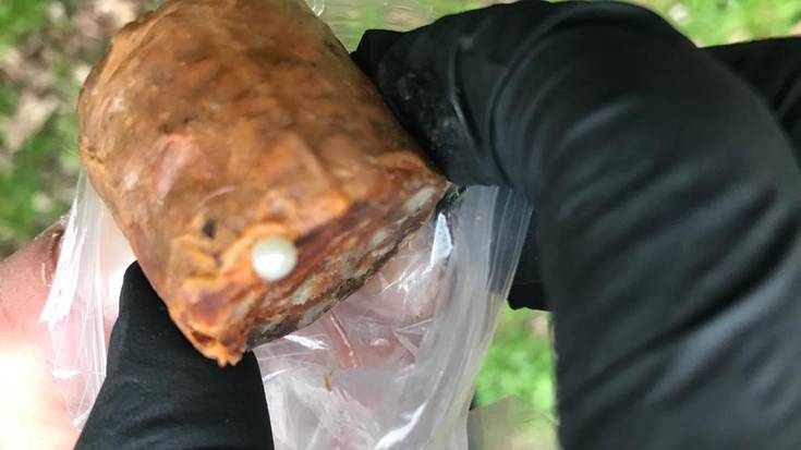 Sanduzelain orratzez beteriko haragi-bola bat agertu dela ohartarazi dute