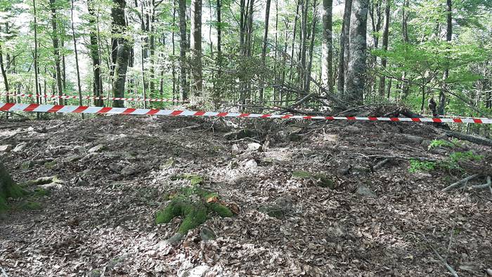 Ingurumen Sailak espedientea ireki du Etxarri Aranazko trikuharrian izandako kalteengatik