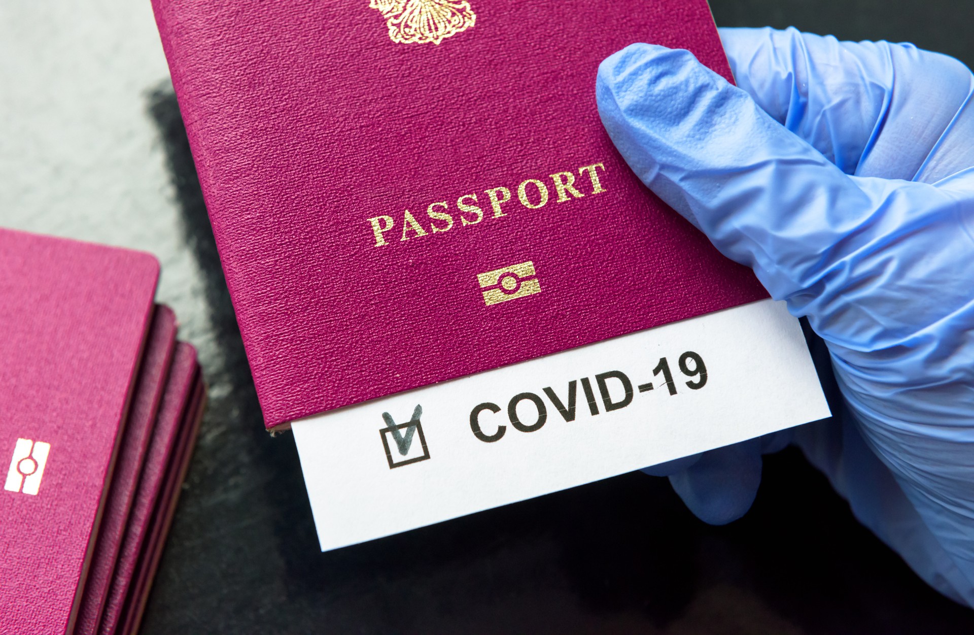 Abian da Europar Batasunean zehar bidaiatu ahal izateko pasaportea