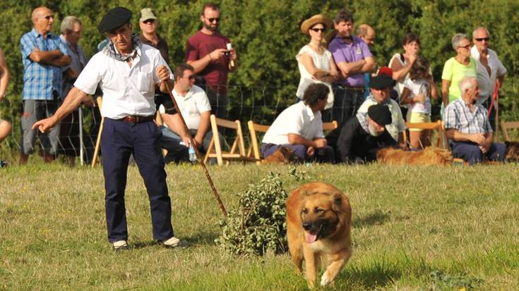 Ixtilarten 'Lagun' txakurrak irabazi du aurtengo Artzai Eguna