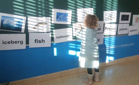 PAI programako zenbait irakaslek ezegonkortasuna salatu dute Nafarroako Parlamentuan