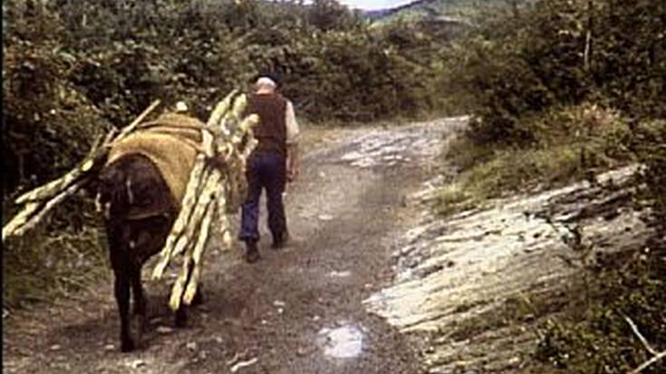 “Kuxetagileak” dokumentala ostegunean Filmotekan