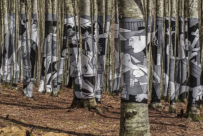 Zilbetiko harrobi proiektua atzera bota du Nafarroako Auzitegi Nagusiak