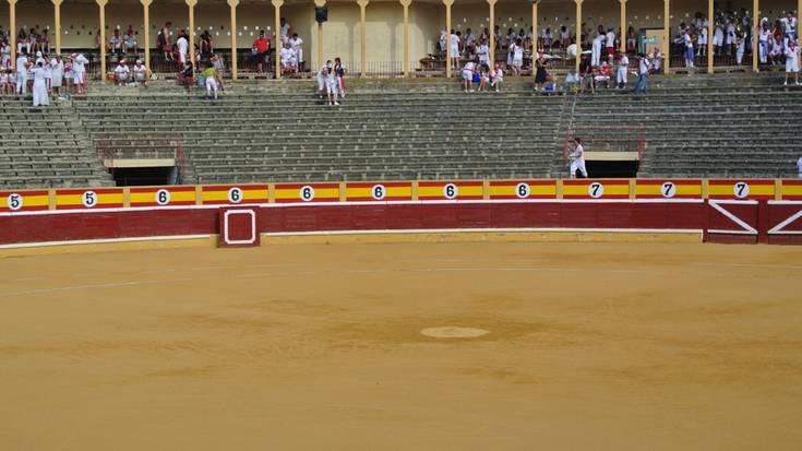 Tuterak ez ditu zezenketak diruz lagunduko 