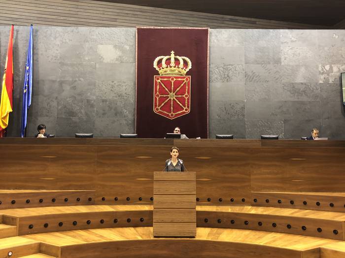 Nafarroako Parlamentuak aho batez onartu du autonomoentzako laguntzak jasotzen dituen dekretua