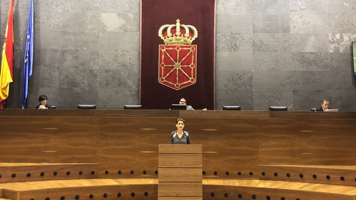 Nafarroako Parlamentuak aho batez onartu du autonomoentzako laguntzak jasotzen dituen dekretua