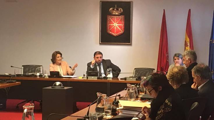 Barcina: "Kontrol batzordeak bere lana zuzen egin zuen; ez zen alarma gorririk piztu"