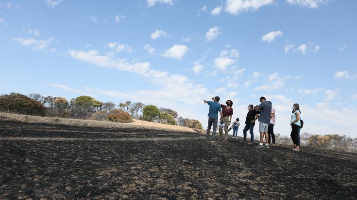 Eguarasko suteak 500 hektarea kaltetu ditu