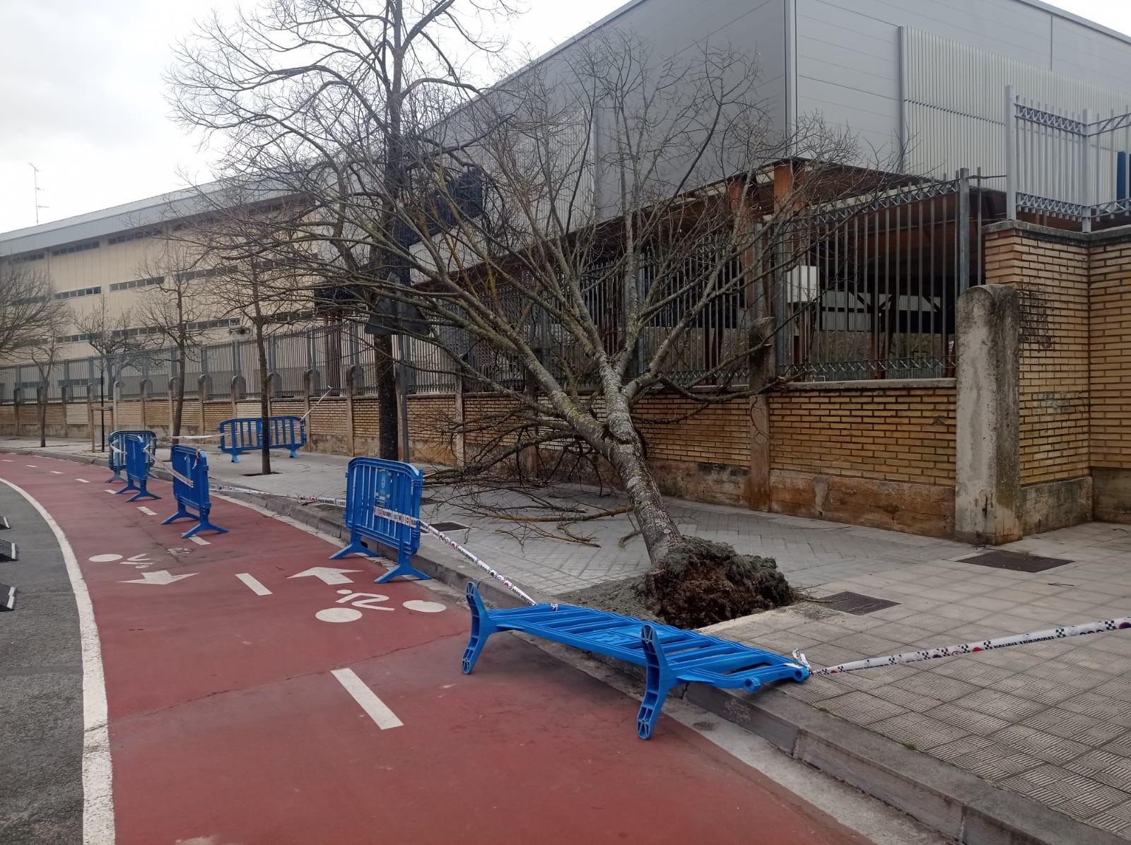 Kalte arinak eragin ditu haizeak Iruñerrian