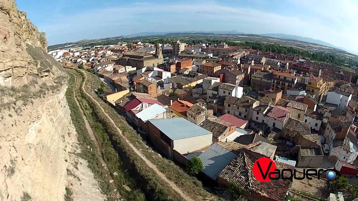 Bikotekide ohia Lodosan bahitu eta Burgosko etxe batean atxiki du gizon batek