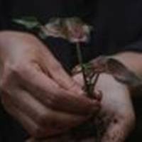 'Olaiaren lorategia'