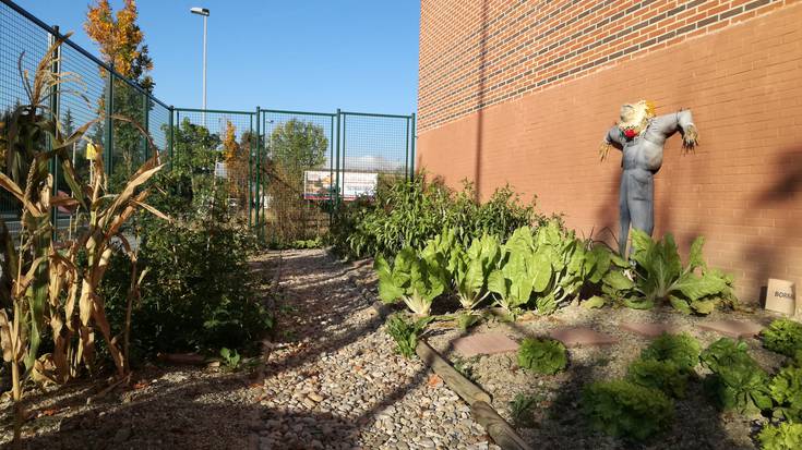 Baratze ekologikoei buruzko programa pilotu batean Sanduzelai ikastetxea eta Iruñeko Udala elkarlanean