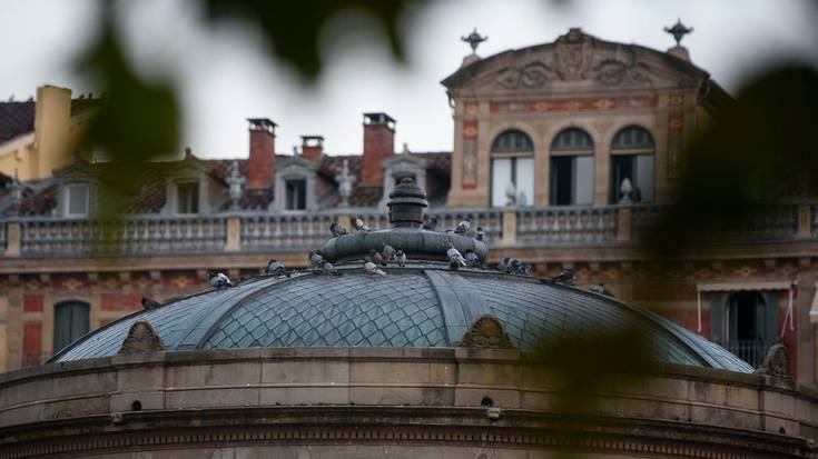 Animaliekiko tratu txarra egotzi dio Gurelurrek Iruñeko Udalari