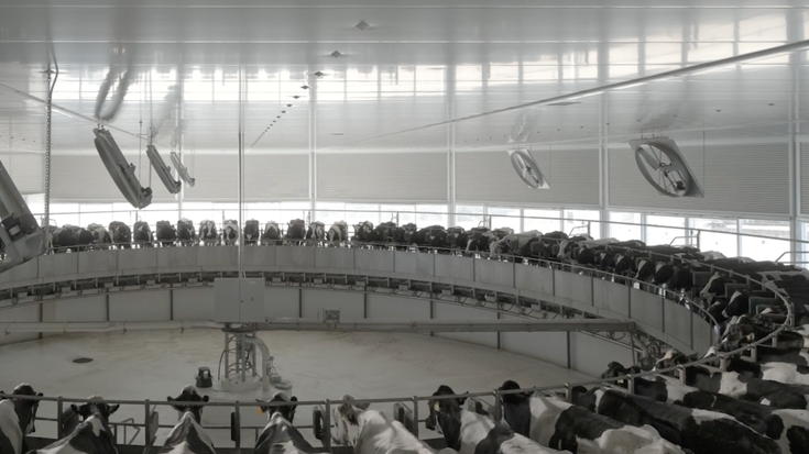 Lorea Flores (Greepeace): "Arrazoi eman digute, baina arinegia da zigorra kaltearekiko"