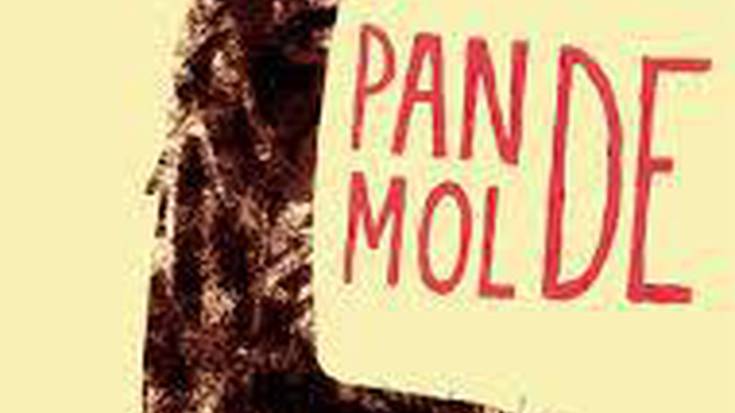 Pan de molde fanzina