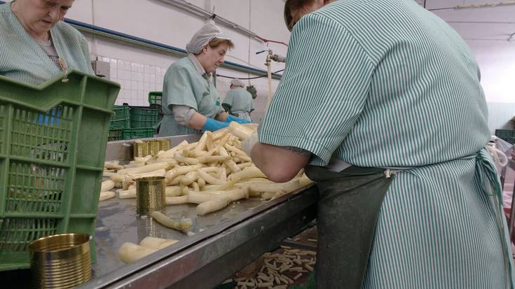 Errigorak ekoizleak izerditan jarri ditu 160.000 ontzi kontserba lortzeko
