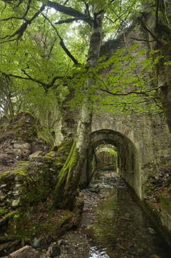 Gobernuak Eugiko arma-fabrika Kultur Intereseko Ondasun izendatu du