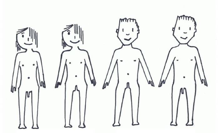 Chrysallis elkarteak transexualitatea lantzeko material-didaktikoa prestatu du 