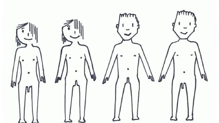 Chrysallis elkarteak transexualitatea lantzeko material-didaktikoa prestatu du 