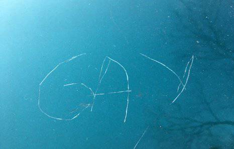 Nafarroako Parlamentuak elkartasuna adierazi dio Koldo Martinezi