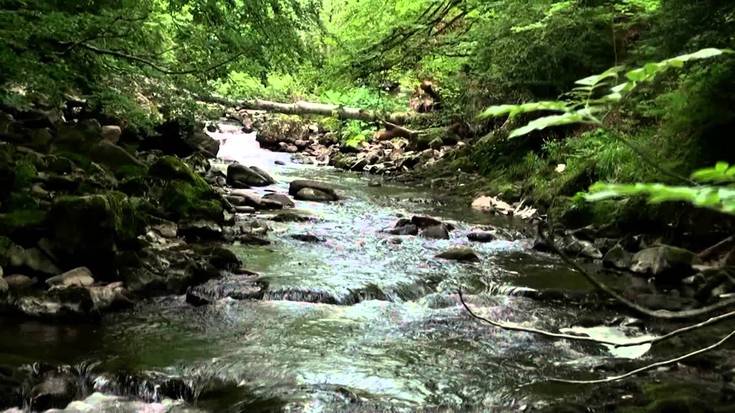 Amuarrainak arrantzatzeko baimenak emanen dituzte hilaren 18tik aurrera