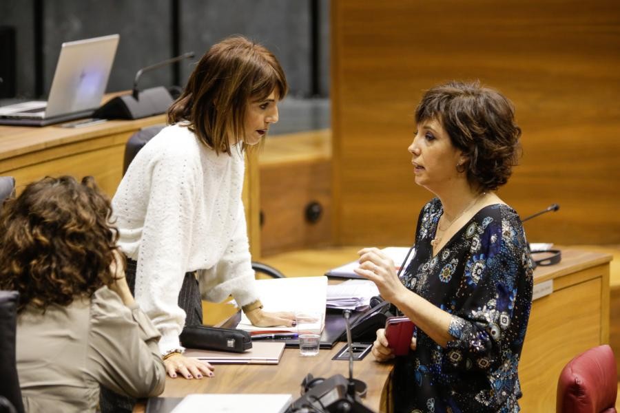 Mendigorrian D eredua ezartzeko eskaera egiteari ezkezkoa eman diote PSNk eta Navarra Sumak