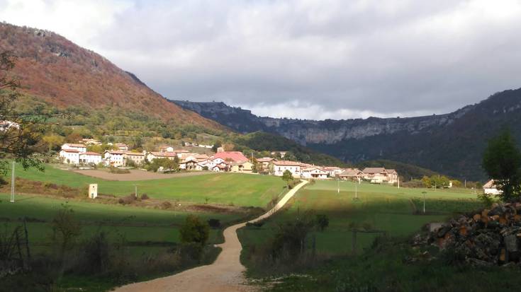 Pirinioak eta Ameskoa populazioa galtzen ari dira