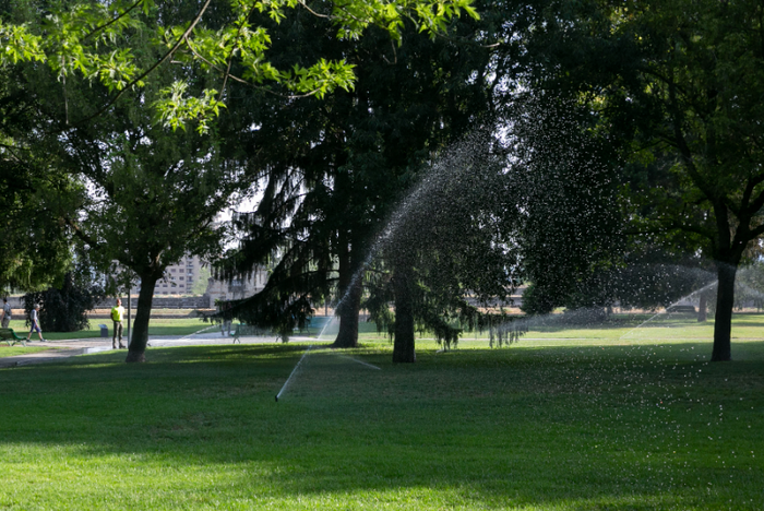 Iruñeak %20ean mugatu du lorategien ureztatzea prezipitazio eskasiaren aurrean