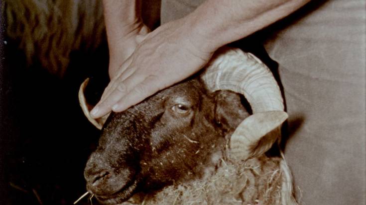 Maddi Barberrek ‘Gorria’ filma estreinatuko du gaur Ikuspuntu jaialdian