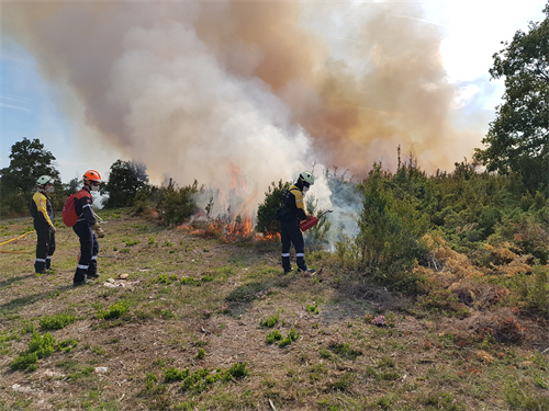 Suhiltzaileek 1.436 landare-suteren itzalketan parte hartu zuten 2019an, aurreko urtean baino %40 gehiago