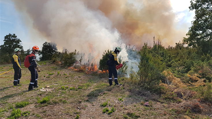 Suhiltzaileek 1.436 landare-suteren itzalketan parte hartu zuten 2019an, aurreko urtean baino %40 gehiago