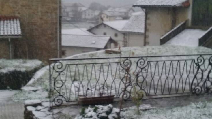 Elurra ari du Nafarroan