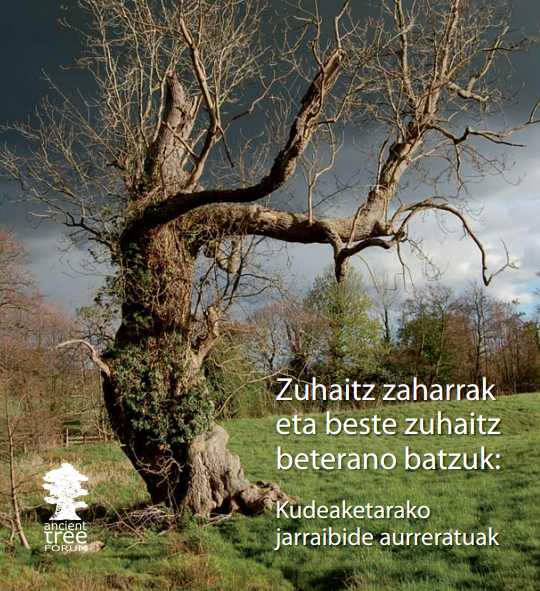 Zuhaitz zaharrak euskaraz mintzo