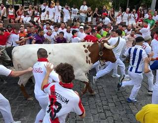 Ezohiko entzierroa korritu dute Cebada Gagokoek, baina adarkatu bat utzita