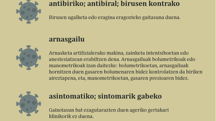 Euskaltzaindiak koronabirusaren oinarrizko lexikoa plazaratu du