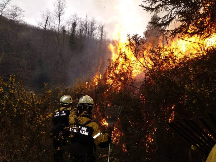 Nafarroako baso suhiltzaileek egun hauetan sastrakarik ez erretzeko eskatu dute