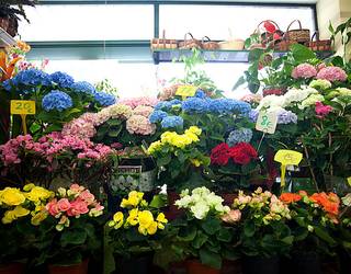 'Udaberriak saria dakar Alde Zaharrean', kanpaina martxan jarri dute saltokiek