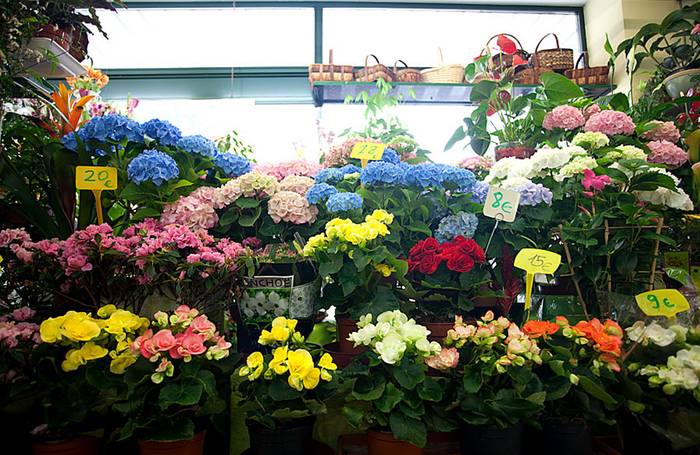 'Udaberriak saria dakar Alde Zaharrean', kanpaina martxan jarri dute saltokiek