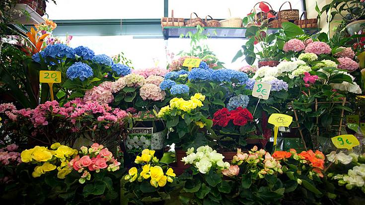 'Udaberriak saria dakar Alde Zaharrean', kanpaina martxan jarri dute saltokiek