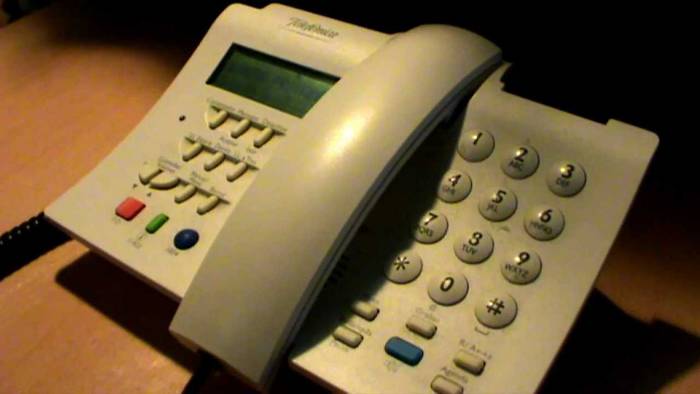 Esperantzaren telefonoak 5.176 lagun artatu ditu 2015ean