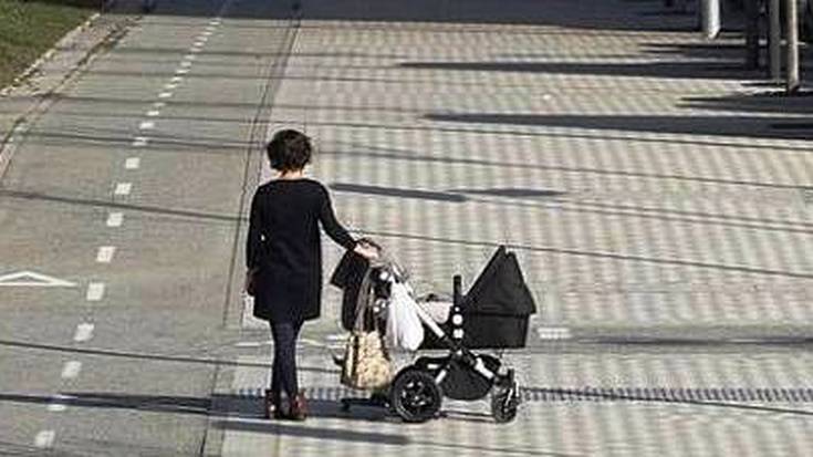 7.321 familiatan ez dago diru-iturri finkorik