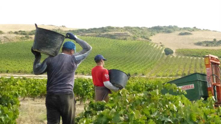 PCR probak eginen dizkiete Nafarroara datozen aldikako langile guztiei