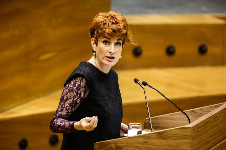 Euskarabideak D ereduaren aldeko kanpaina egin ez izana larritzat jo du EH Bilduk