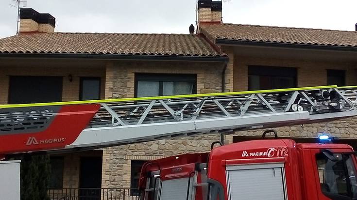 Arrano beltz bat erreskatatu dute suhiltzaileek Taxoareko teilatu batean