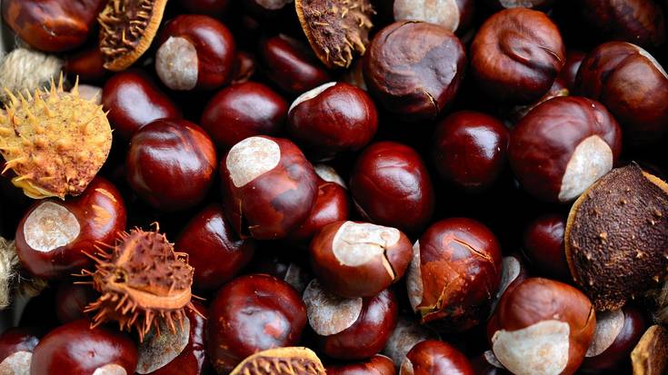 Laura Martinena: "Gaztainak izugarrizko pisua izan du gure aurreko belaunaldietan eta hori berreskuratu nahi dugu"