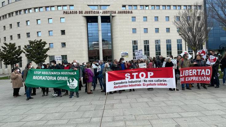Lorea Flores (Greenpeace): "Datuak argiak dira, Caparrosoko behitegiak ingurua kutsatzen du"
