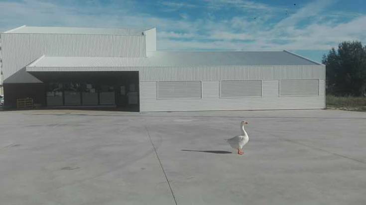 Auzoetan sare-lanean aritzeko ildo berria inauguratu dute Mendillorrin