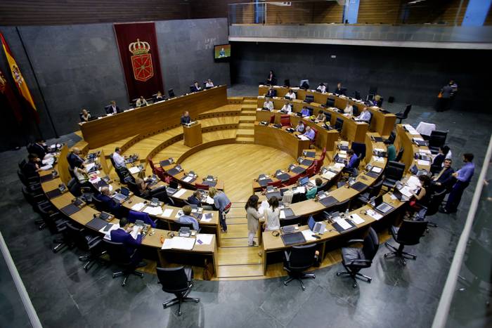 Nafarroako Parlamentuak begi onez ikusten du ETAren armagabetzea